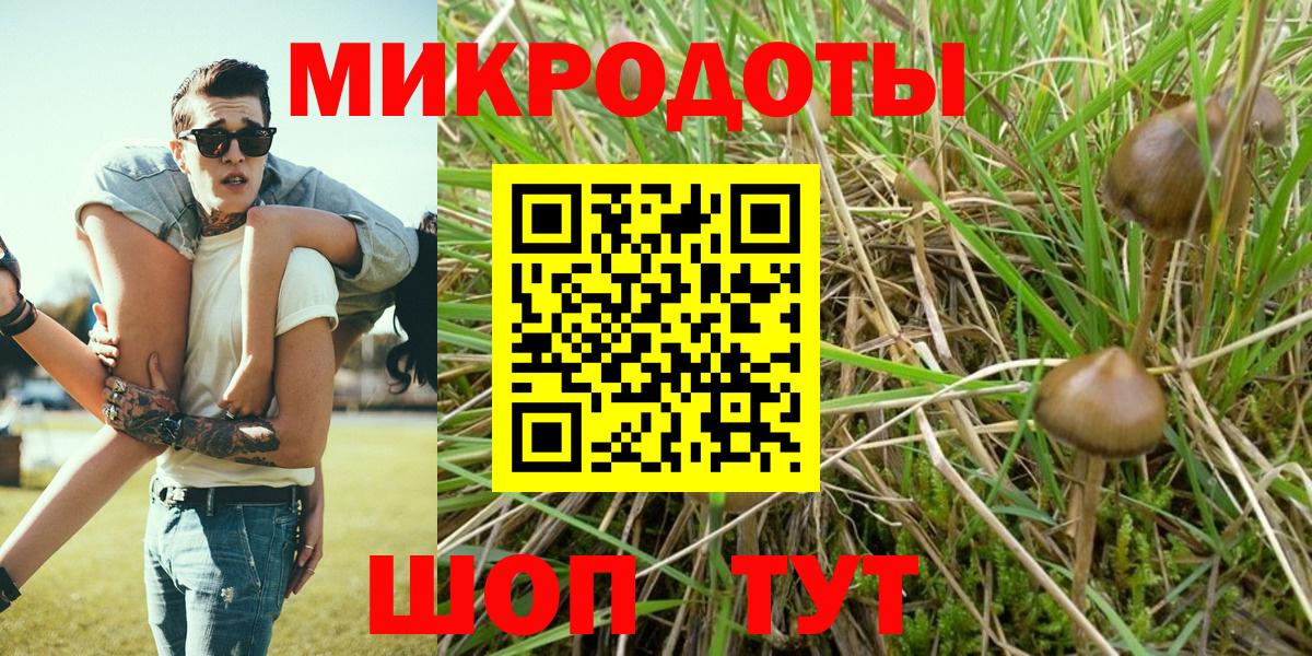 Галлюциногенные грибы Psilocybe  Вход с VPN  Галлюциногенные грибы Psilocybe  наркошоп  Родники 